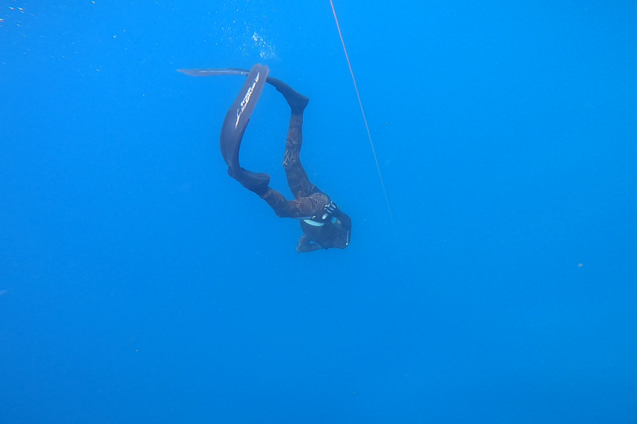 Ελεύθερη Κατάδυση